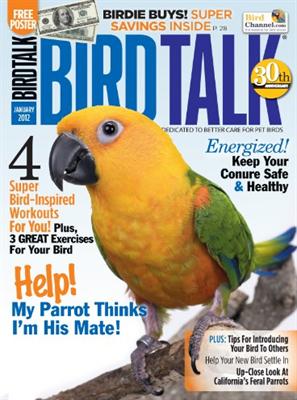 Bird Talk
